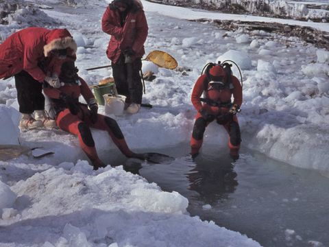 1977-143-Biologists-underwater-diving-at-New-Harbour-coast-Taylor-Valley-mouth.jpg