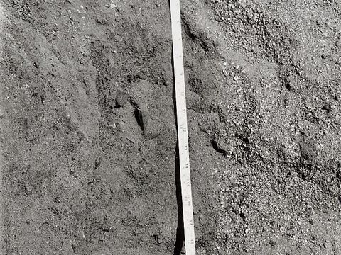ASD-1972-site312.jpg
