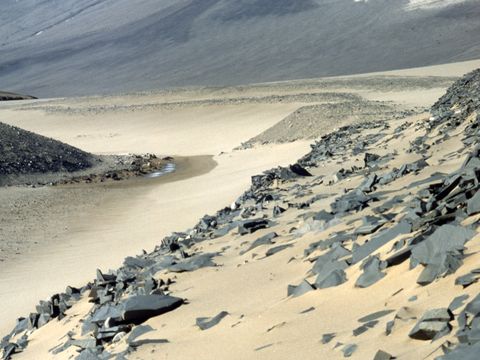 1999-118-Sand-deposits-in-Bull-Pass.jpg