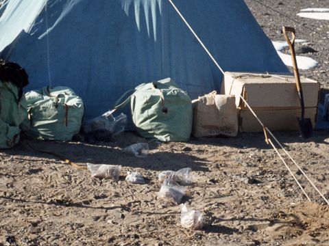 1977-299-Camp-site-with-sample-bags-disturbed-by-Skuas.jpg