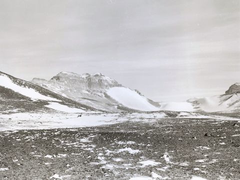 ASD-1977-site400L.jpg