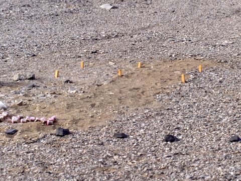 ASD-1995-site814-825.jpg