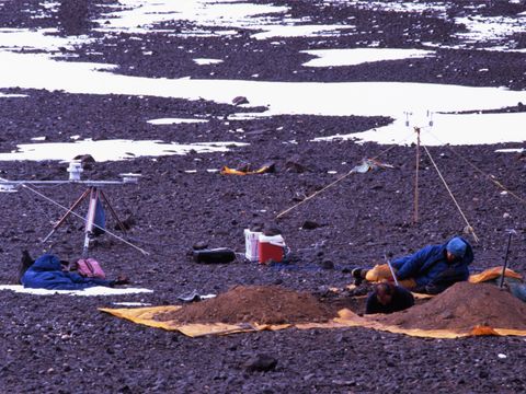 ASD-1995-site803L.jpg
