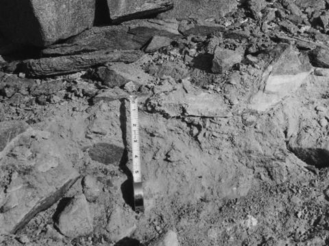 ASD-1964-site081.jpg