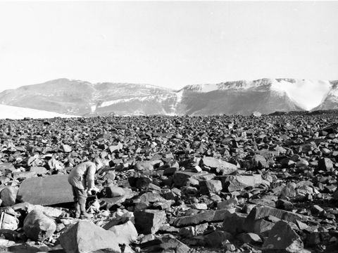 ASD-1964-site077L.jpg