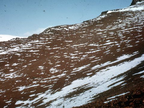 ASD-1964-Site056L.jpg
