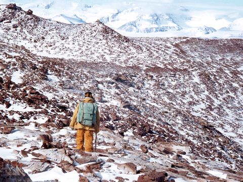 1978-33-G-Claridge-on-high-slopes-near-Mt-Ash.jpg