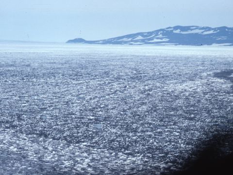 1990-206-The-dirty-ice-McMurdo-Sound.jpg