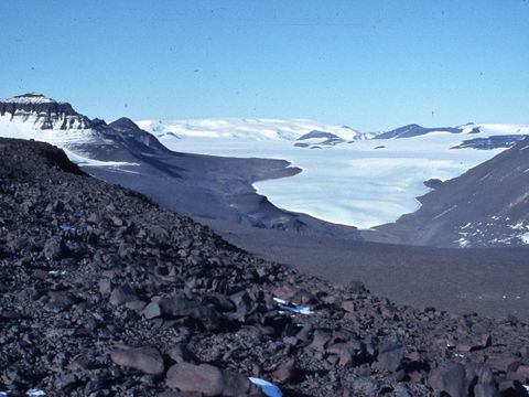 ASD-1982-site500L.jpg