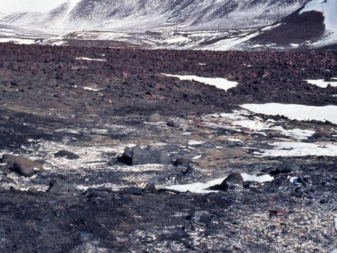 ASD-1982-site495L.jpg