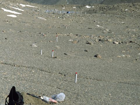 1999-DEC-074-A-soil-sample-pit-at-a-nematode-experimental-site-Lake-Hoare.jpg