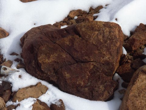 1998-053-Desert-varnish-on-a-sandstone-boulder.jpg
