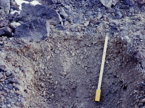 ASD-1990-site593.jpg