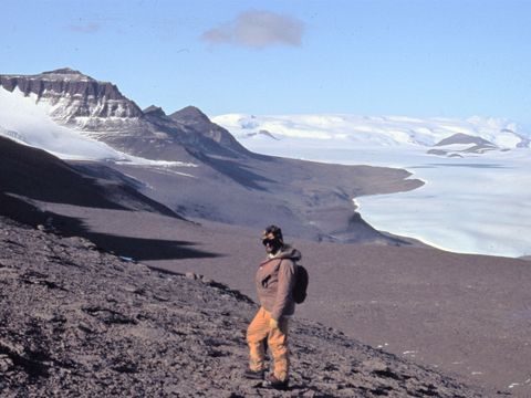 ASD-1982-site505L.jpg