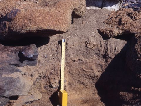 ASD-1987-site532.jpg