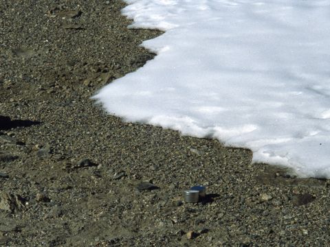 ASD-1999-site-866.jpg