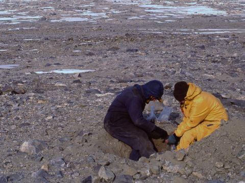 ASD-1991-site627L.jpg