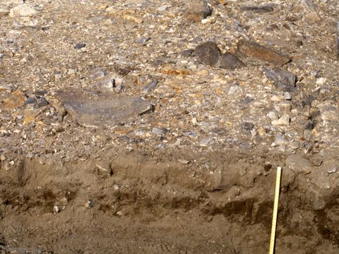 ASD-1991-site616.jpg