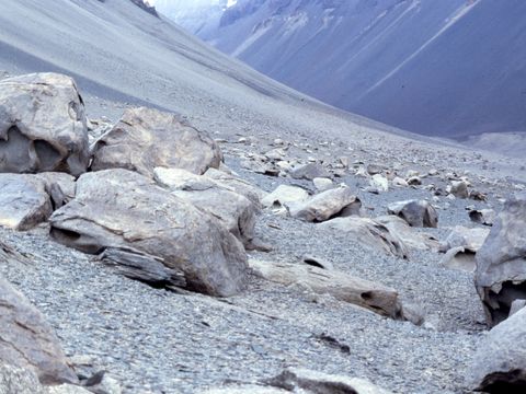 1992-123-Old-moraine-boulder-field-below-Dias-North-Fork-Wright-Valley.jpg