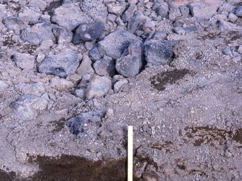ASD-1990-site588.jpg