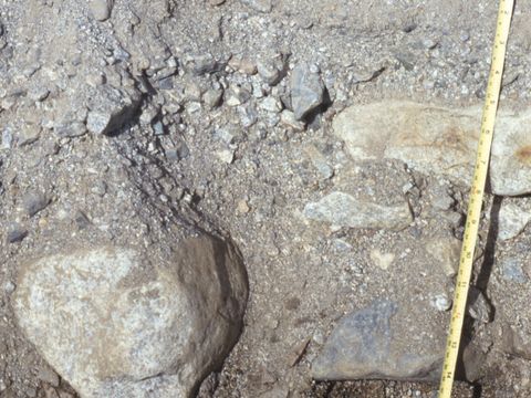 ASD-1992-site713.jpg