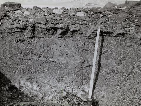 ASD-1972-site330.jpg