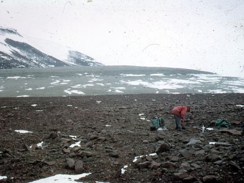 ASD-1964-site071L.jpg