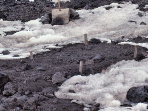ASD-1992-site714-716L.jpg