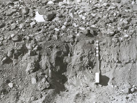 ASD-1977-site394.jpg