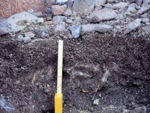 ASD-1987-site542.jpg