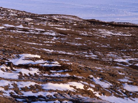 1990-281-Extensive-scraped-ground-surface-near-Scott-Base.jpg