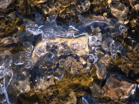 1990-179-Beginning-of-stream-freeze-at-Marble-Point.jpg