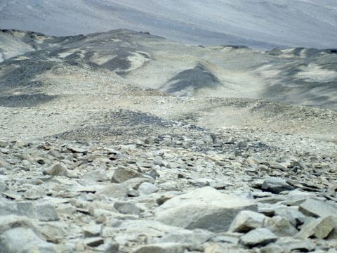 1998-101-Wright-Valley-floor.jpg