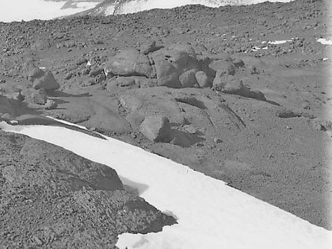 ASD-1982-site508L.jpg