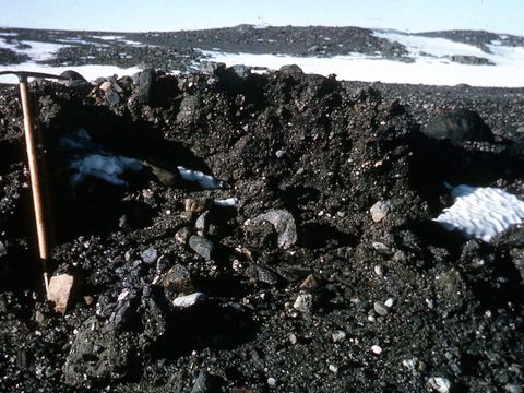 ASD-1964-site042.jpg