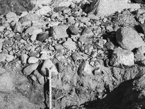 ASD-1964-site050.jpg