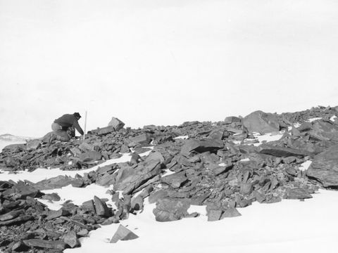 ASD-1964-site081L.jpg