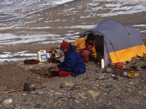 1991-121-I-Campbell-M-Balks-on-a-beach-ridge-permafrost-site-at-Marble-Point.jpg