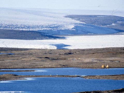 1990-064-View-of-artificial-lake-campsite-and-Wilson-Piedmont-Glacier.jpg