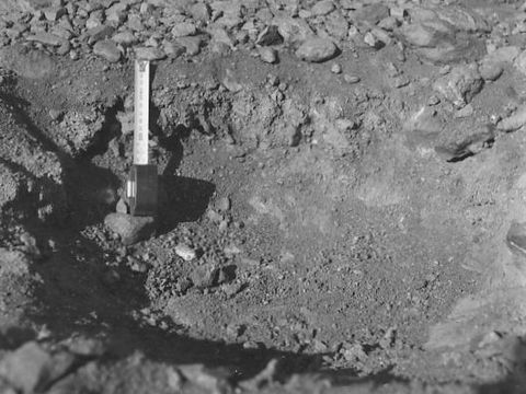 ASD-1982-site510.jpg