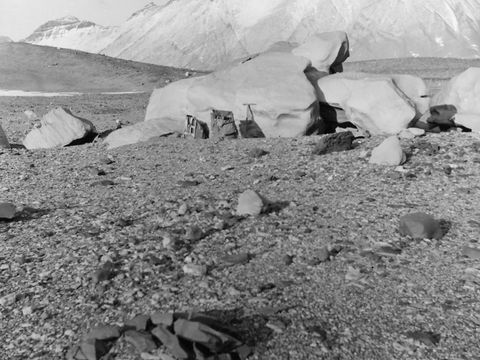 ASD-1964-site138L.jpg
