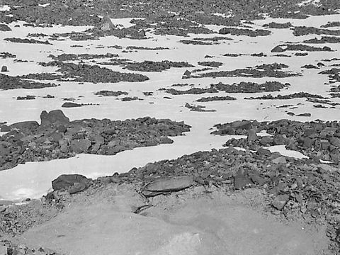 ASD-1969-site207.jpg