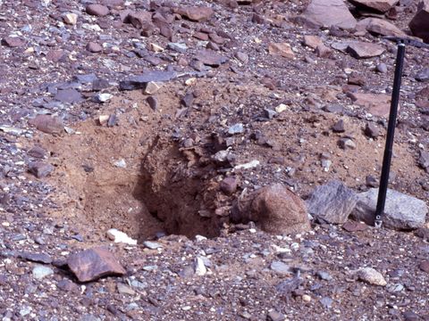 1995-046-A-1965-soil-pit-investigation-site-near-Lake-Vashka-in-Barwick-Valley.jpg