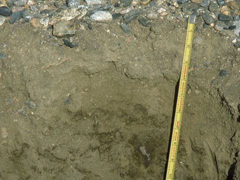 ASD-1999-site863.jpg