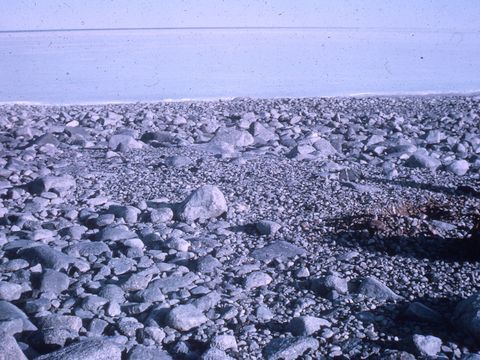 ASD-1964-site-036L.jpg