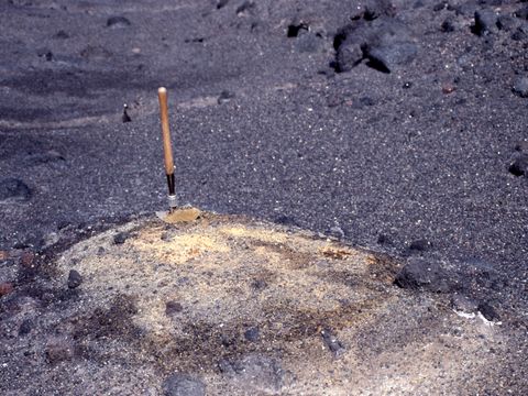 ASD-1991-site653.jpg