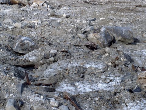 1990-112-Disturbed-ground-with-partly-buried-rubbish-at-Marble-Point.jpg