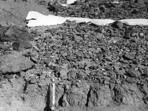 ASD-1964-site062L.jpg