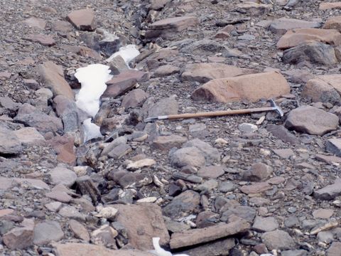 ASD-1987-site535L.jpg