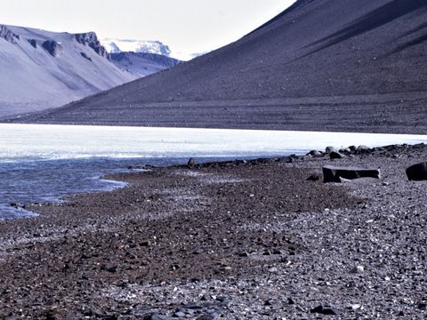 1992-078-Capilliary-wetted-lake-edge-at-Lake-Vanda-and-old-shore-lines-beyond.jpg